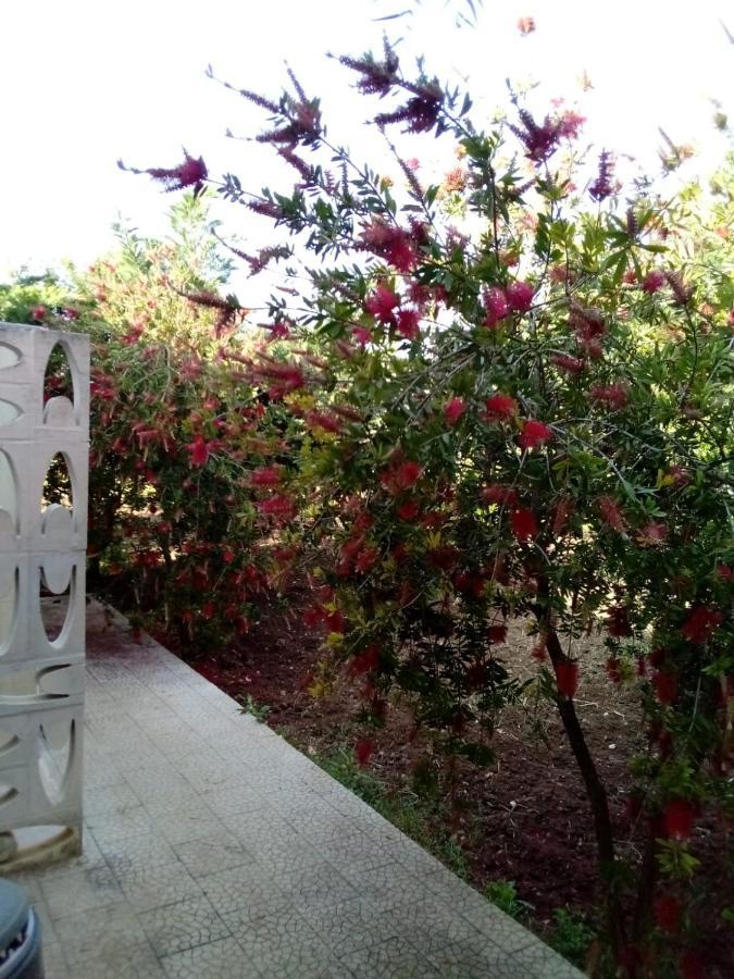 Villa Grazia 비에스테 외부 사진
